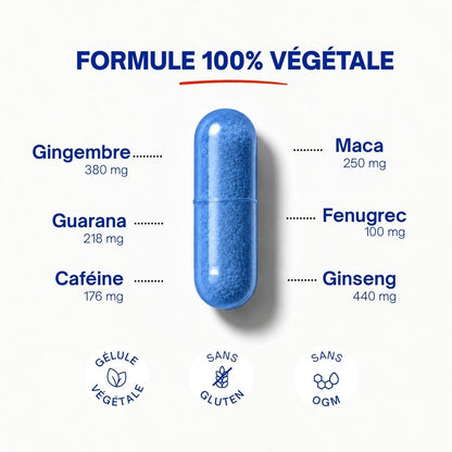 Le Garde-à-vous