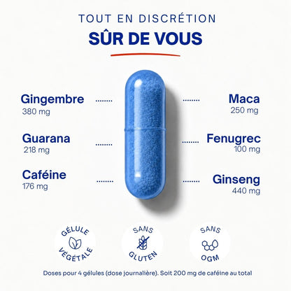 Le Garde-à-vous