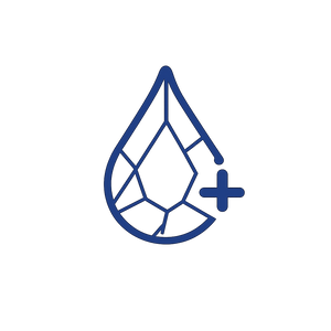 SS - Feature #54 IA Custom icon 2